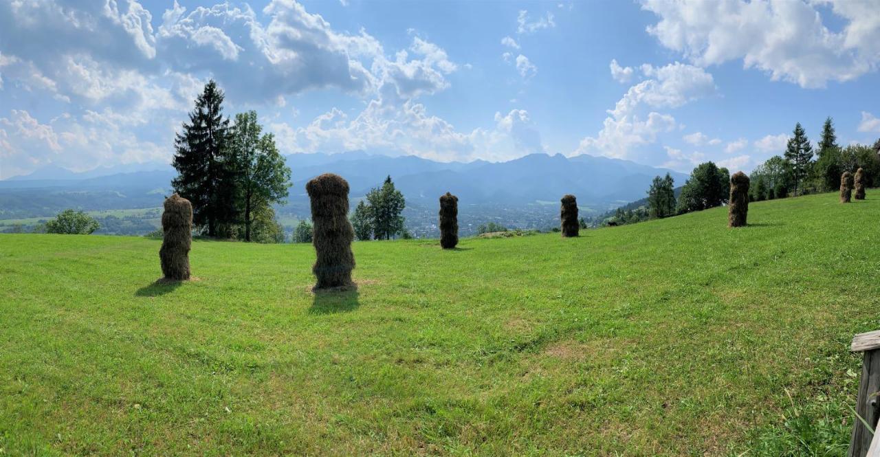 Willa Dolina Harenda Zakopane Kültér fotó